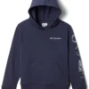 Columbia Basin Park Graphic Hoodie - Boys'