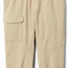 Columbia Silver Ridge Pull-On Banded Pants - Toddlers'