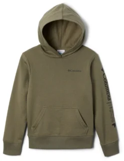 Columbia Basin Park Graphic Hoodie - Boys' -Columbia Sales Shop 82445821 37a5 41a9 84eb b53a14fb8eab